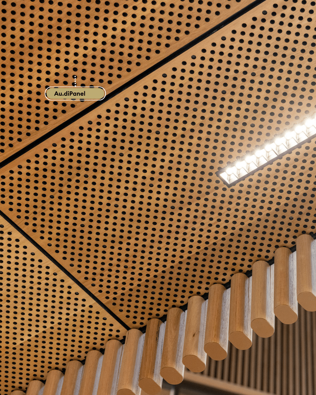 ECU City, Edith Cowan University WA_Atkar Au.diPanel